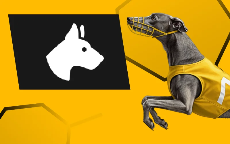 Discover virtual greyhound racing bets on the official Melbet website.